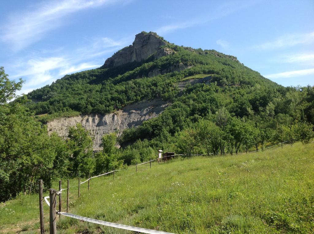 Agriturismo Ca' Di Mazza Monzuno Eksteriør billede